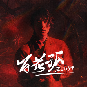 上海老熟女露脸
