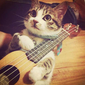 上海老熟女露脸
