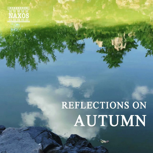 上海老熟女露脸
